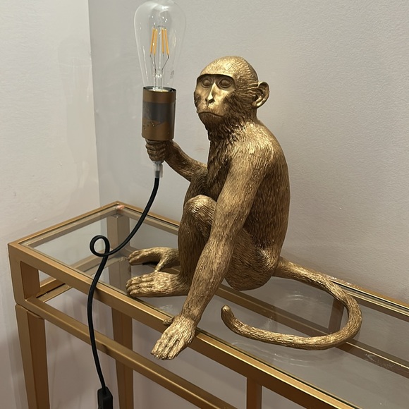 Gold Monkey Light - Picture 7 of 8